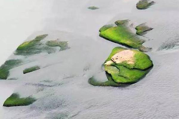 大江湖之苍龙与白鸟瀑雨落梨花属性怎么样