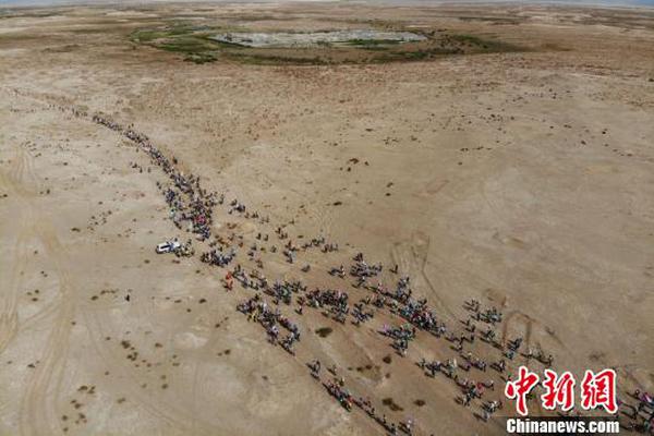 多娜多娜一起来干坏事吧好感度怎么提升