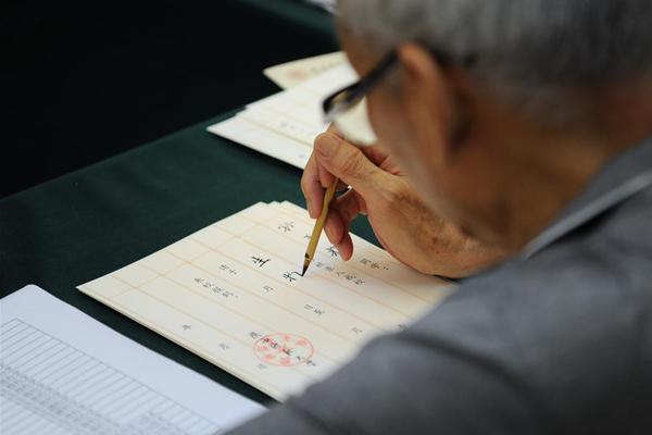 弃海波弟大冒险全成就怎么做